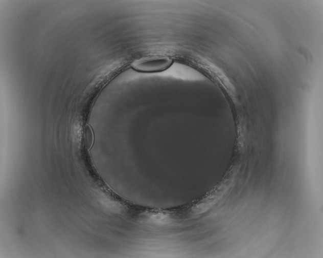 X0000111440113200908031400