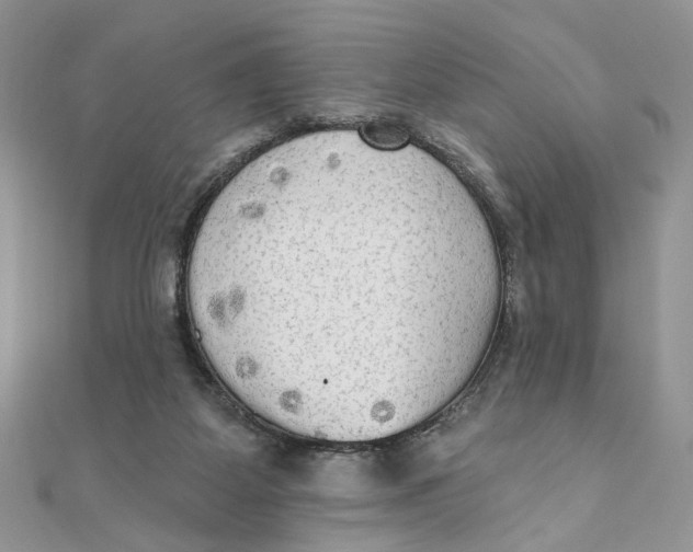 X0000111440115200908031400