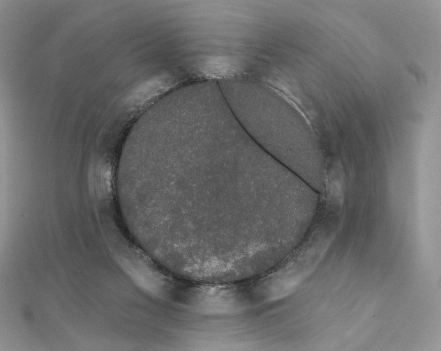 X0000111440117200908031400