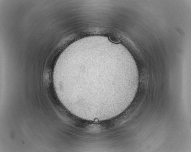 X0000111440119200908031400