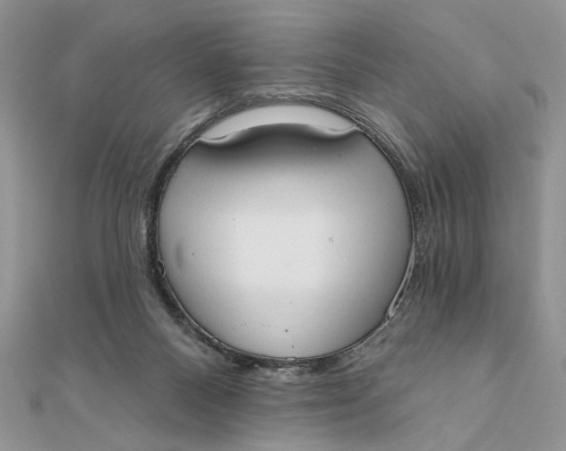 X0000111440120200908031400