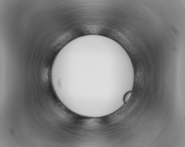 X0000111440122200908031400