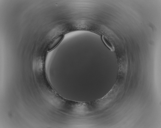 X0000111440124200908031400