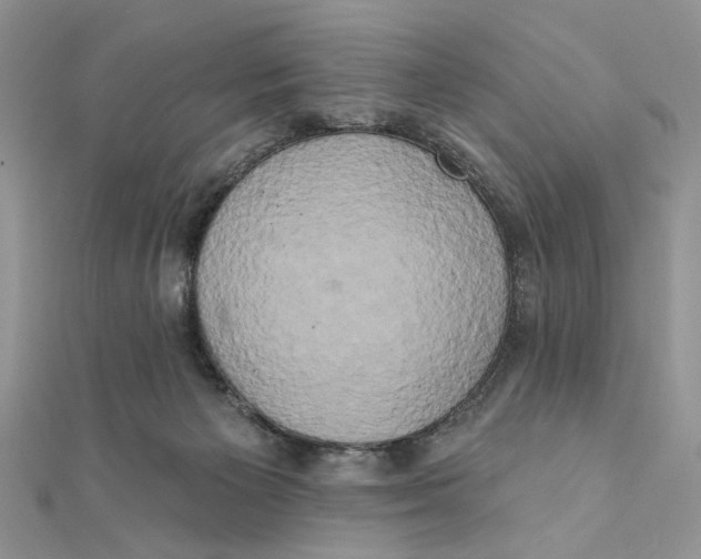 X0000111440125200908031400