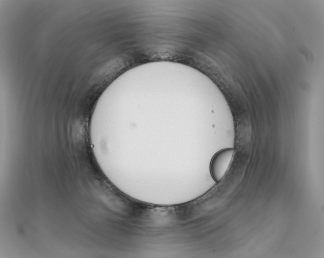 X0000111440126200908031400