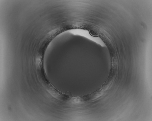 X0000111440127200908031400