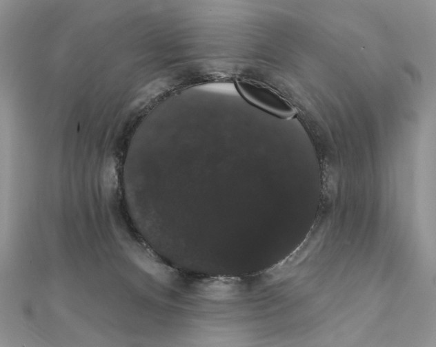 X0000111440128200908031400