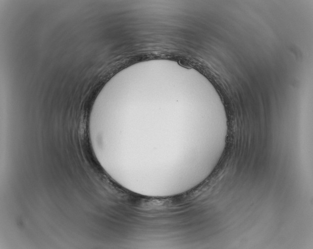 X0000111440129200908031400