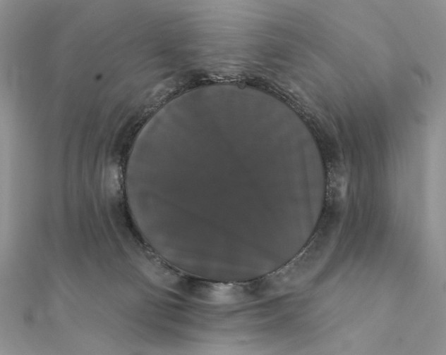 X0000111440130200908031400