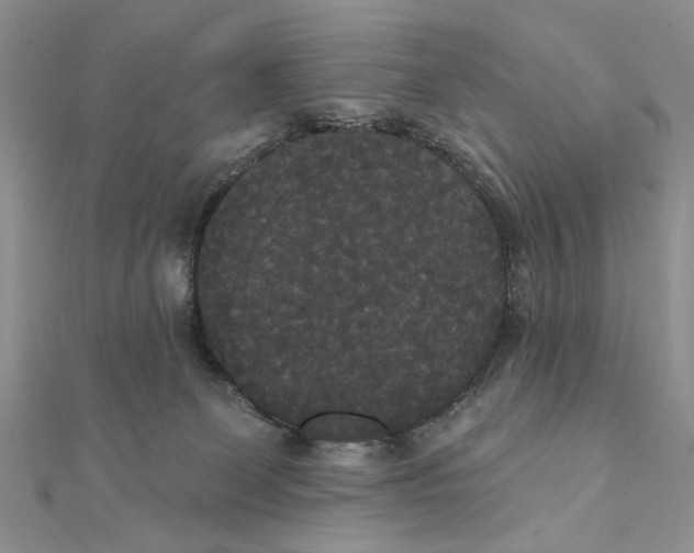 X0000111440131200908031400