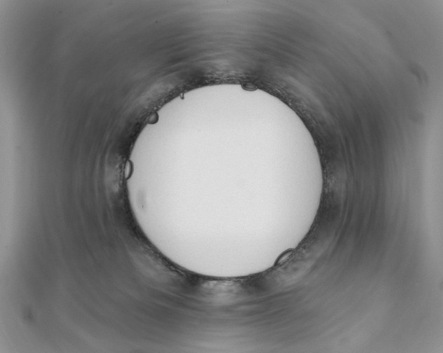 X0000111440133200908031400