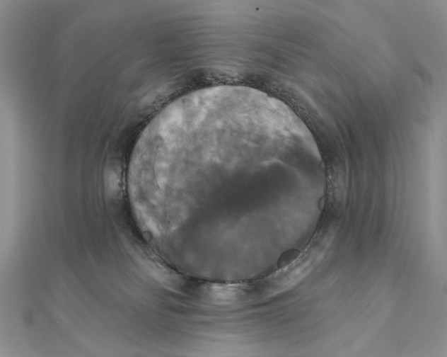 X0000111440134200908031400