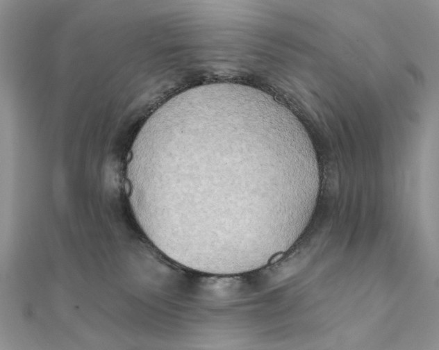 X0000111440135200908031400