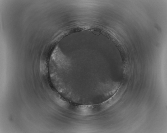 X0000111440136200908031400