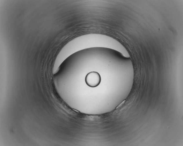 X0000111440137200908031400