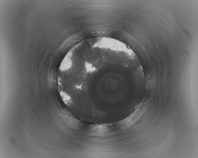 X0000111440140200908031400