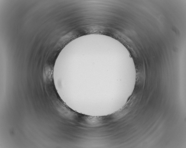 X0000111440142200908031400