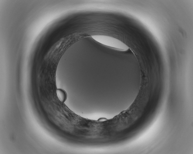 X0000111440143200908031400