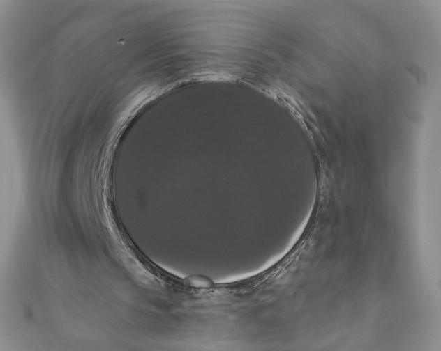 X0000111440145200908031359