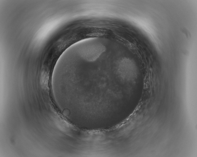 X0000111440146200908031359