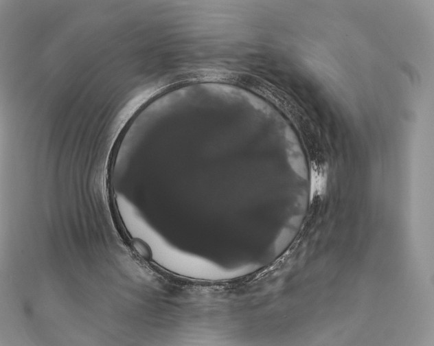 X0000111440147200908031359