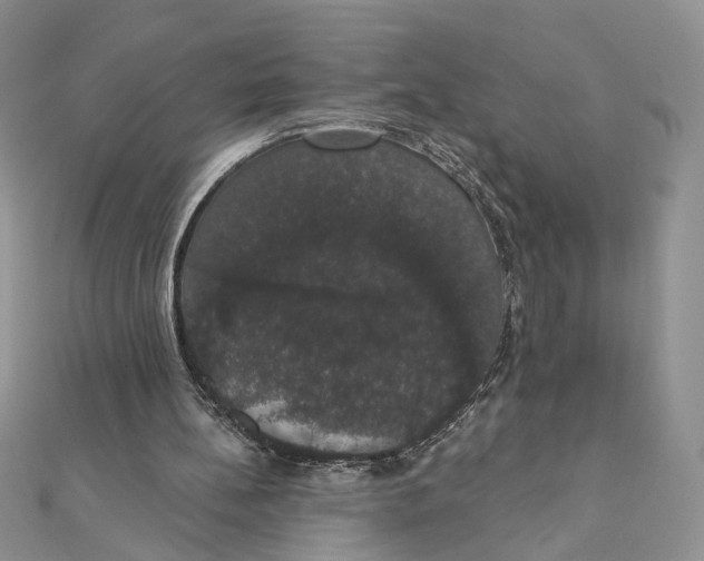 X0000111440148200908031359