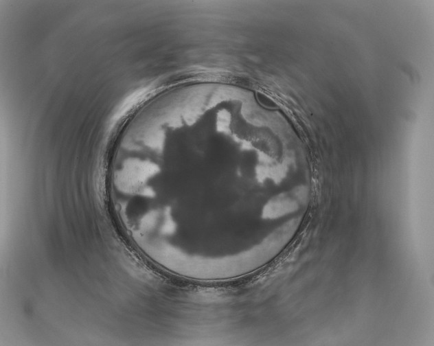 X0000111440149200908031359