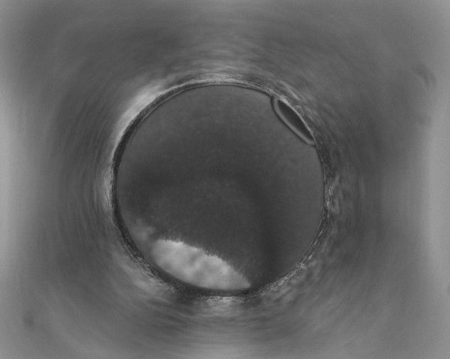 X0000111440152200908031359