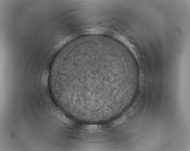 X0000111440153200908031359