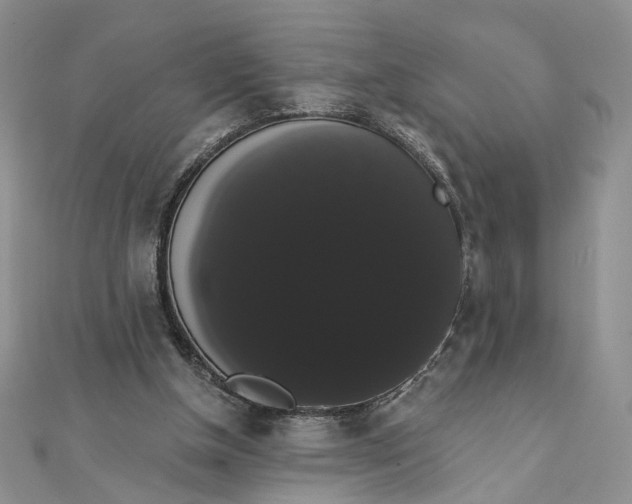 X0000111440154200908031359