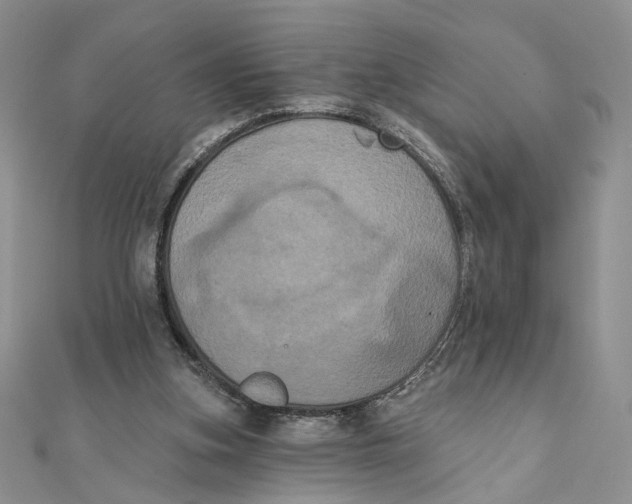 X0000111440155200908031359