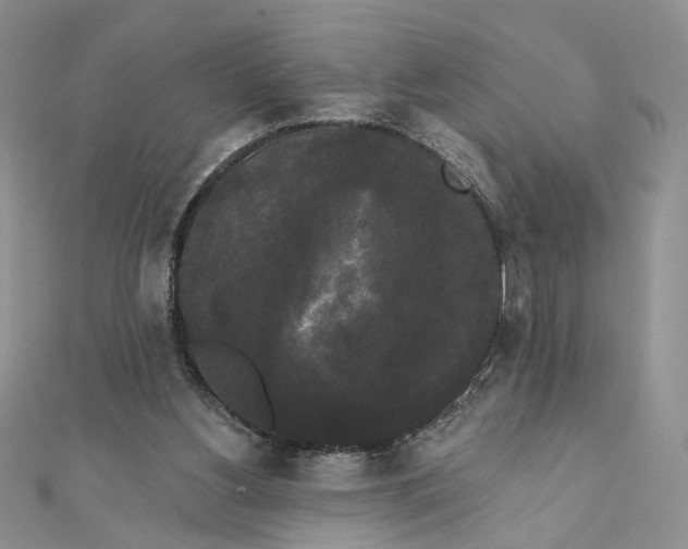 X0000111440156200908031359