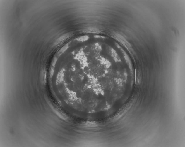 X0000111440157200908031359