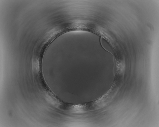 X0000111440158200908031359