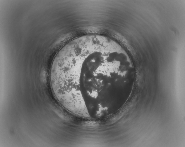 X0000111440161200908031359