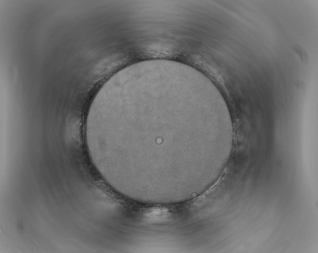 X0000111440162200908031359