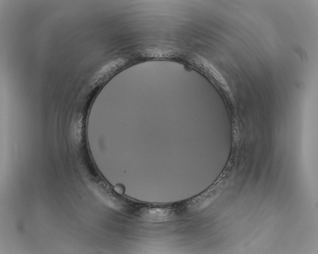 X0000111440163200908031359