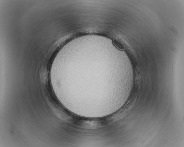 X0000111440164200908031359