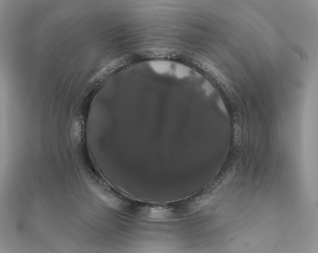 X0000111440165200908031359