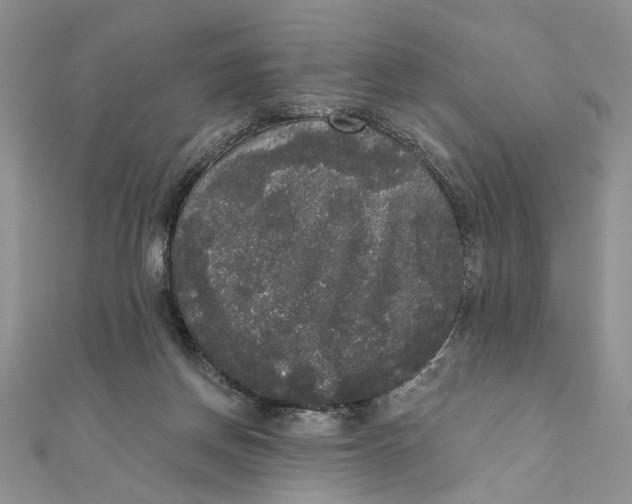 X0000111440166200908031359