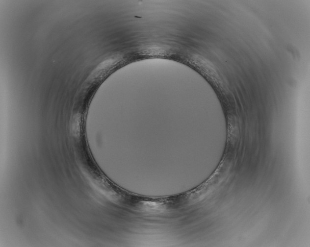 X0000111440167200908031359