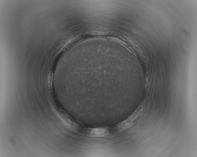 X0000111440168200908031359