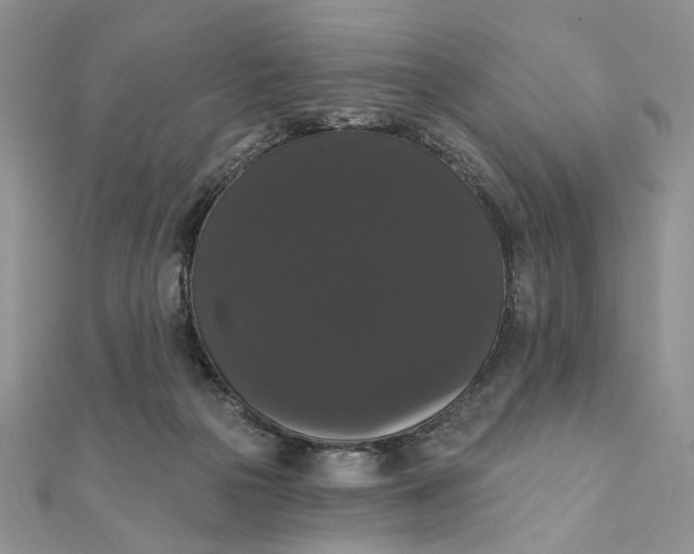 X0000111440169200908031359