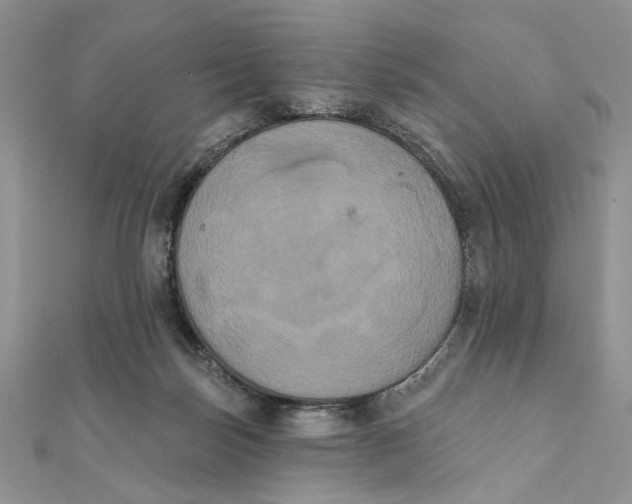 X0000111440171200908031359