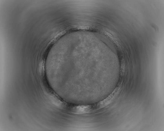 X0000111440172200908031359