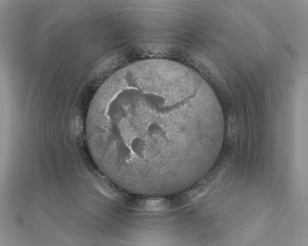 X0000111440173200908031359