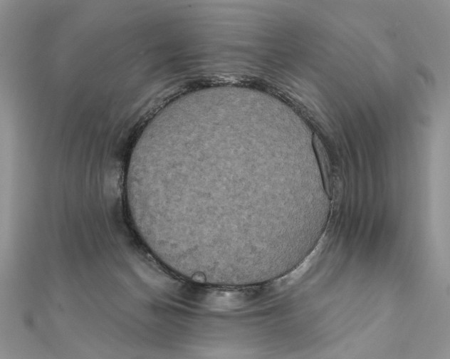 X0000111440174200908031359