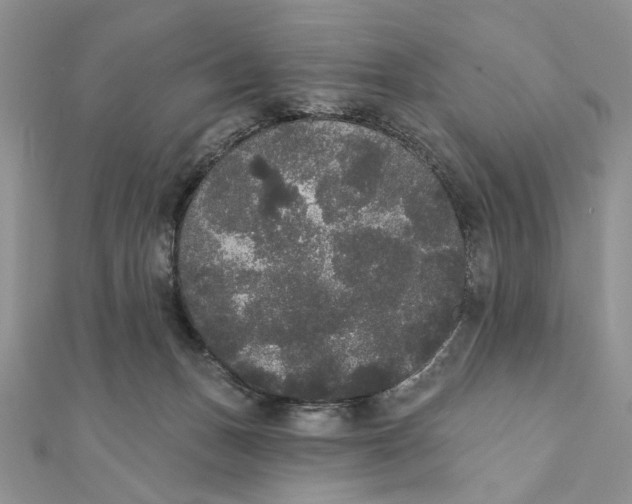 X0000111440175200908031400