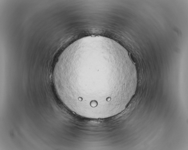 X0000111440176200908031400