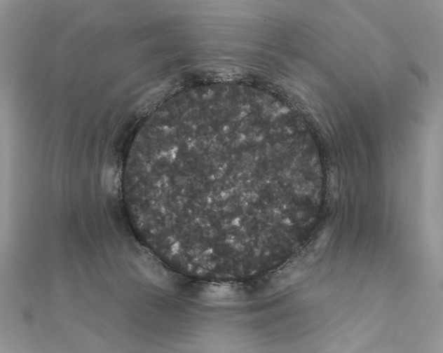 X0000111440177200908031400